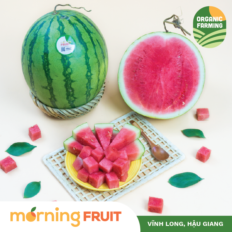 Dưa hấu không hạt